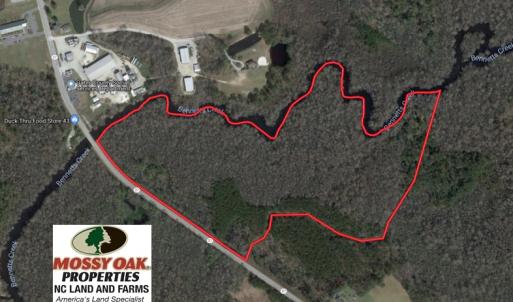 Photo of UNDER CONTRACT!  43.7 Acres of Hunting Land For Sale in Gates County NC!
