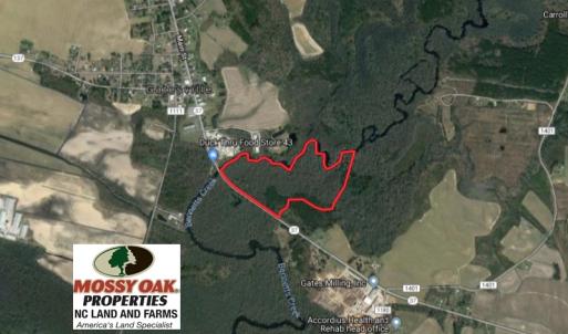 Photo of UNDER CONTRACT!  43.7 Acres of Hunting Land For Sale in Gates County NC!
