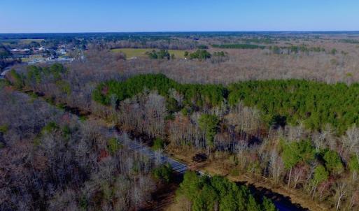 Photo of UNDER CONTRACT!  43.7 Acres of Hunting Land For Sale in Gates County NC!