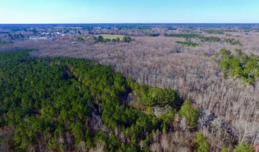 Photo of UNDER CONTRACT!  43.7 Acres of Hunting Land For Sale in Gates County NC!