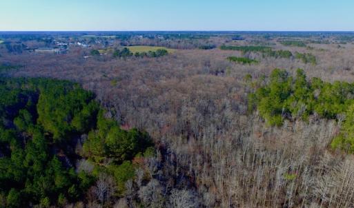 Photo of UNDER CONTRACT!  43.7 Acres of Hunting Land For Sale in Gates County NC!