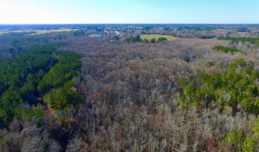Photo of UNDER CONTRACT!  43.7 Acres of Hunting Land For Sale in Gates County NC!