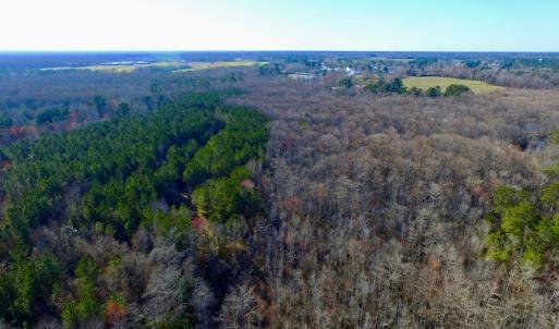 Photo of UNDER CONTRACT!  43.7 Acres of Hunting Land For Sale in Gates County NC!
