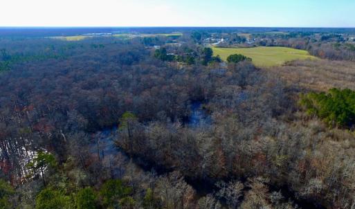 Photo of UNDER CONTRACT!  43.7 Acres of Hunting Land For Sale in Gates County NC!