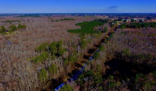 Photo of UNDER CONTRACT!  43.7 Acres of Hunting Land For Sale in Gates County NC!