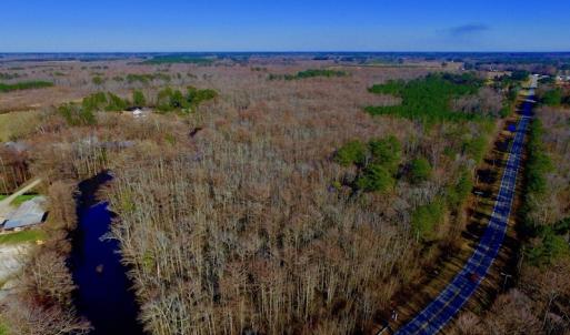 Photo of UNDER CONTRACT!  43.7 Acres of Hunting Land For Sale in Gates County NC!