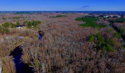 Photo of UNDER CONTRACT!  43.7 Acres of Hunting Land For Sale in Gates County NC!