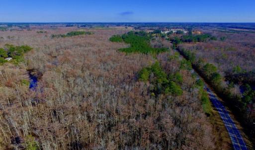 Photo of UNDER CONTRACT!  43.7 Acres of Hunting Land For Sale in Gates County NC!