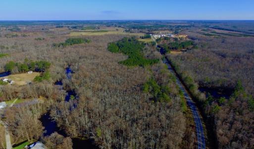 Photo of UNDER CONTRACT!  43.7 Acres of Hunting Land For Sale in Gates County NC!