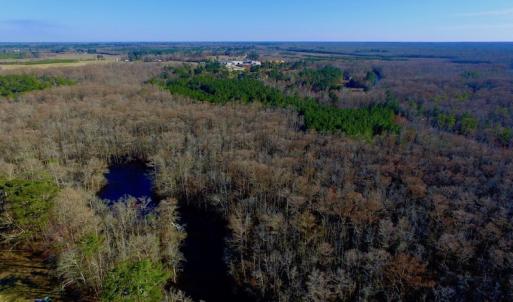 Photo of UNDER CONTRACT!  43.7 Acres of Hunting Land For Sale in Gates County NC!