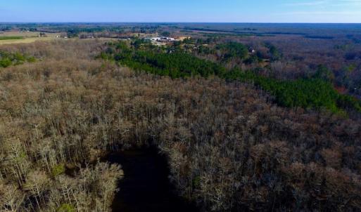 Photo of UNDER CONTRACT!  43.7 Acres of Hunting Land For Sale in Gates County NC!