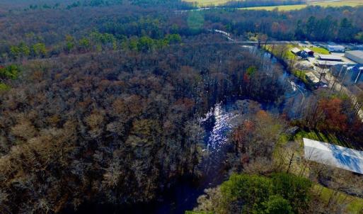 Photo of UNDER CONTRACT!  43.7 Acres of Hunting Land For Sale in Gates County NC!