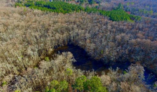 Photo of UNDER CONTRACT!  43.7 Acres of Hunting Land For Sale in Gates County NC!