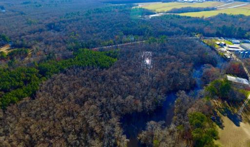 Photo of UNDER CONTRACT!  43.7 Acres of Hunting Land For Sale in Gates County NC!