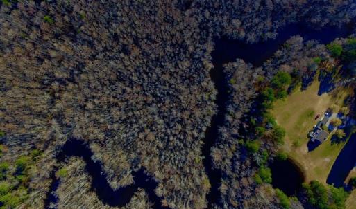 Photo of UNDER CONTRACT!  43.7 Acres of Hunting Land For Sale in Gates County NC!