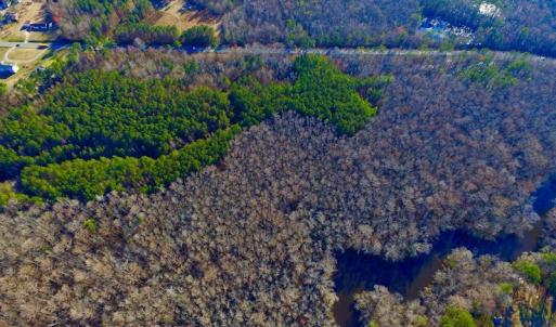 Photo of UNDER CONTRACT!  43.7 Acres of Hunting Land For Sale in Gates County NC!
