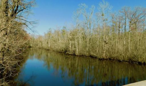 Photo of UNDER CONTRACT!  43.7 Acres of Hunting Land For Sale in Gates County NC!