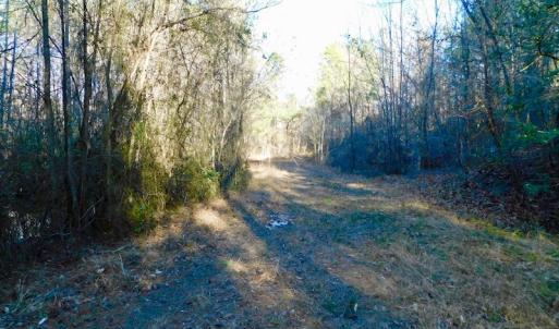 Photo of UNDER CONTRACT!  43.7 Acres of Hunting Land For Sale in Gates County NC!