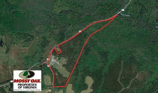 Photo of UNDER CONTRACT!  62 Acres of Residential Timber Land For Sale in Greensville County VA!