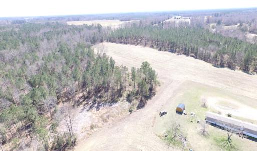 Photo of UNDER CONTRACT!  62 Acres of Residential Timber Land For Sale in Greensville County VA!