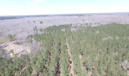 Photo of UNDER CONTRACT!  62 Acres of Residential Timber Land For Sale in Greensville County VA!