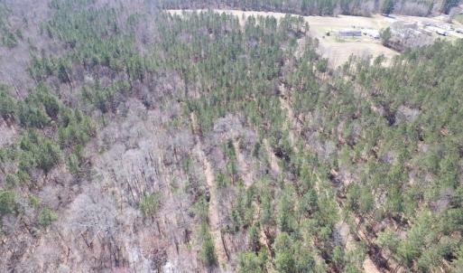 Photo of UNDER CONTRACT!  62 Acres of Residential Timber Land For Sale in Greensville County VA!