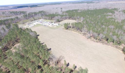 Photo of UNDER CONTRACT!  62 Acres of Residential Timber Land For Sale in Greensville County VA!