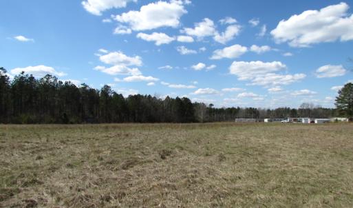 Photo of UNDER CONTRACT!  62 Acres of Residential Timber Land For Sale in Greensville County VA!