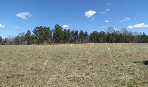 Photo of UNDER CONTRACT!  62 Acres of Residential Timber Land For Sale in Greensville County VA!
