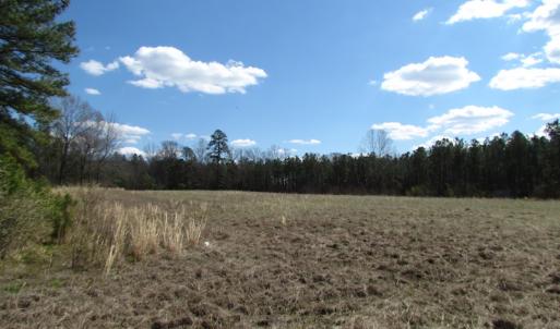 Photo of UNDER CONTRACT!  62 Acres of Residential Timber Land For Sale in Greensville County VA!