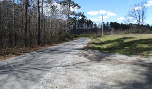 Photo of UNDER CONTRACT!  62 Acres of Residential Timber Land For Sale in Greensville County VA!