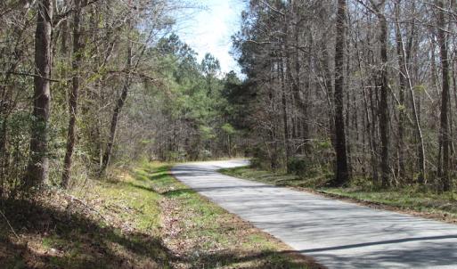 Photo of UNDER CONTRACT!  62 Acres of Residential Timber Land For Sale in Greensville County VA!