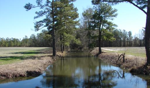 Photo of UNDER CONTRACT!  36 Acres of Farm and Timber Land For Sale in Robeson County NC!