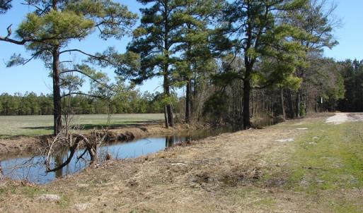Photo of UNDER CONTRACT!  36 Acres of Farm and Timber Land For Sale in Robeson County NC!