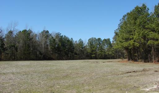Photo of UNDER CONTRACT!  36 Acres of Farm and Timber Land For Sale in Robeson County NC!