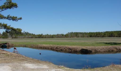 Photo of UNDER CONTRACT!  36 Acres of Farm and Timber Land For Sale in Robeson County NC!