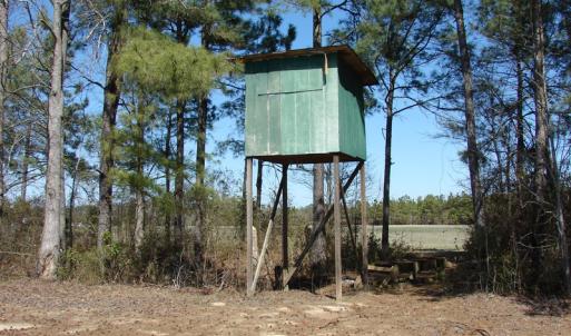 Photo of UNDER CONTRACT!  36 Acres of Farm and Timber Land For Sale in Robeson County NC!