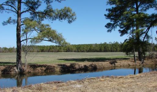 Photo of UNDER CONTRACT!  36 Acres of Farm and Timber Land For Sale in Robeson County NC!