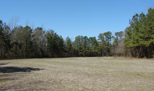 Photo of UNDER CONTRACT!  36 Acres of Farm and Timber Land For Sale in Robeson County NC!