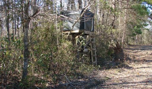 Photo of UNDER CONTRACT!  36 Acres of Farm and Timber Land For Sale in Robeson County NC!