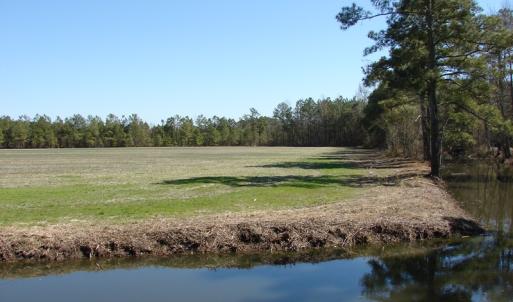 Photo of UNDER CONTRACT!  36 Acres of Farm and Timber Land For Sale in Robeson County NC!