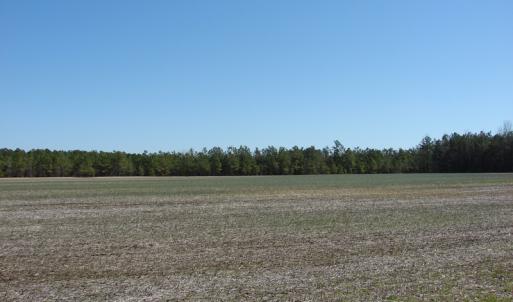 Photo of UNDER CONTRACT!  36 Acres of Farm and Timber Land For Sale in Robeson County NC!