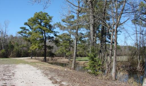 Photo of UNDER CONTRACT!  36 Acres of Farm and Timber Land For Sale in Robeson County NC!