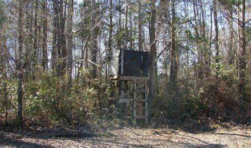 Photo of UNDER CONTRACT!  36 Acres of Farm and Timber Land For Sale in Robeson County NC!