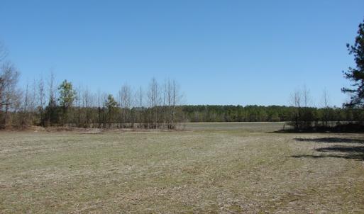 Photo of UNDER CONTRACT!  36 Acres of Farm and Timber Land For Sale in Robeson County NC!
