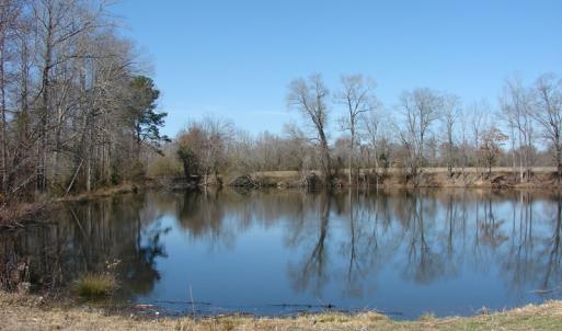 Photo of UNDER CONTRACT!  50 Acres of Farm and Timber Land For Sale in Robeson County NC!