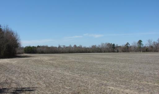 Photo of UNDER CONTRACT!  50 Acres of Farm and Timber Land For Sale in Robeson County NC!
