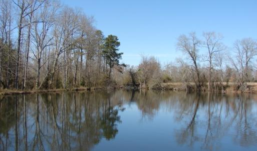 Photo of UNDER CONTRACT!  50 Acres of Farm and Timber Land For Sale in Robeson County NC!