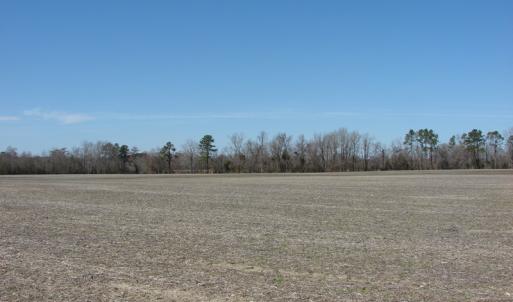 Photo of UNDER CONTRACT!  50 Acres of Farm and Timber Land For Sale in Robeson County NC!