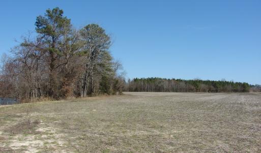 Photo of UNDER CONTRACT!  50 Acres of Farm and Timber Land For Sale in Robeson County NC!